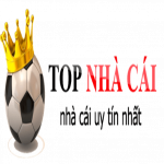 nhacaiuy1