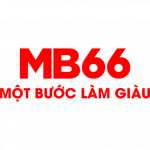 mb66market
