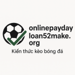 onlinepaydayloan