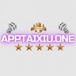apptaixiuone