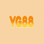 Yg884com