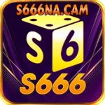 s666nacam