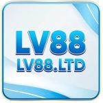 lv88ltd