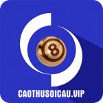 caothusoicauvip