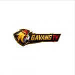 gavangtvplus