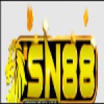 ytsn88com