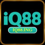 Iq88ing