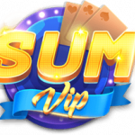 sumvip9