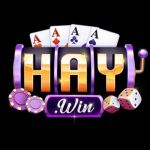 haywinitcom