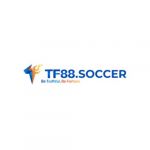 tf88soccer