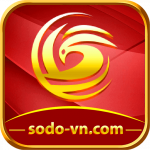 sodovncom1