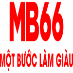 mb66net1