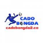 cadobongda2co2026