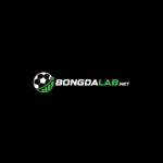bongdalabnet