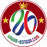 hay88bongda