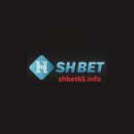 shbet65info1