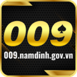 009namdinhgovvn