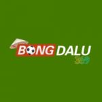 Bongdalu369vn