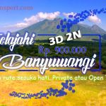 sewamobilbanyuwangi
