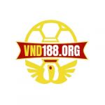 vnd188org