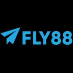 fly88webcam