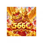 566cmx