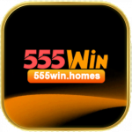 555winhome