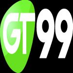 9gt99net