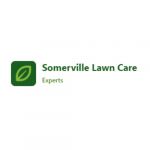 lawncaresomervi1