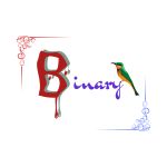 Binary_Bin