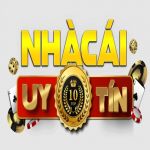 nhacaiuytinvivn