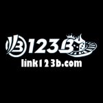 123blinkcncom