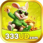 333udorg
