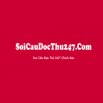 soicaudocthu247