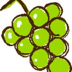 fruitbooter