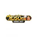 xs66dev