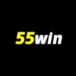 55Wininnet