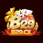 b29cx