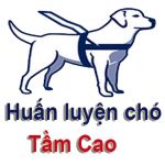 huanluyenchotamcao
