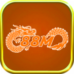 88Minfo