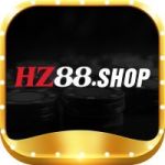 hz88sshop