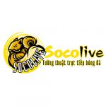 socoliverun