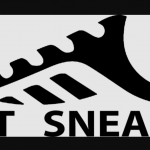 giaysneaker