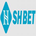 shbetwininfo