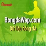 bongdawapcom