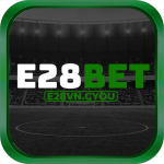 e28vncyou