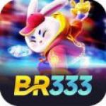 br333co