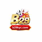 B29kyccom