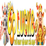 luck8clubdev