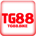 tg88bike